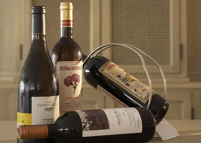 Mykonian Mare Boutique (adults Only) 5* 圣斯特凡诺斯